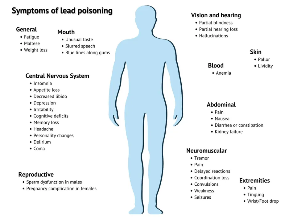 Symptome einer Bleivergiftung beim Menschen.jpg